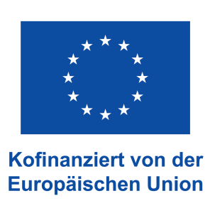 DE V Kofinanziert von der Europäischen Union_PANTONE
