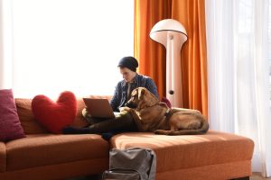 FOSBOS Wasserburg - Onlineinfoabend zu unserem Angebot