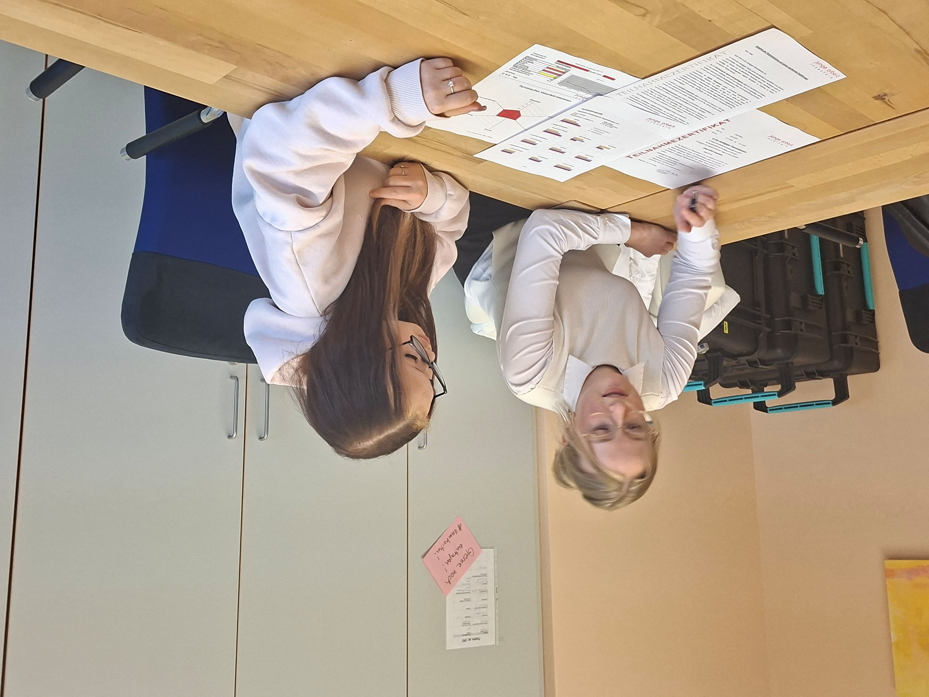 Potentialanalyse in den Internationalen Vorklassen